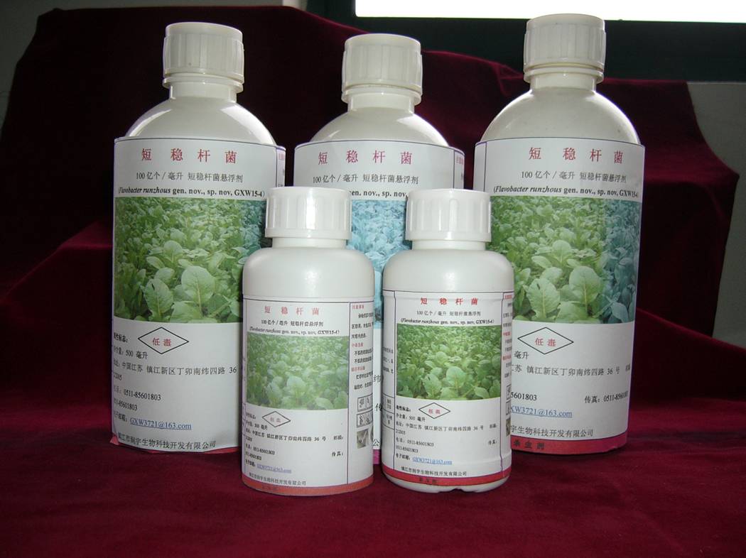 Suspension Concentrate of Empedobacter brevis